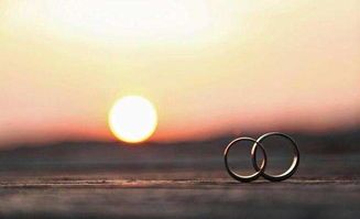 如何用"若即若离"重建亲密关系？